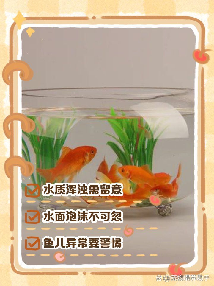 如何判斷魚缸是否需要換水，判斷魚缸是否需要換水是確保水族箱內(nèi)水質(zhì)健康的關(guān)鍵步驟