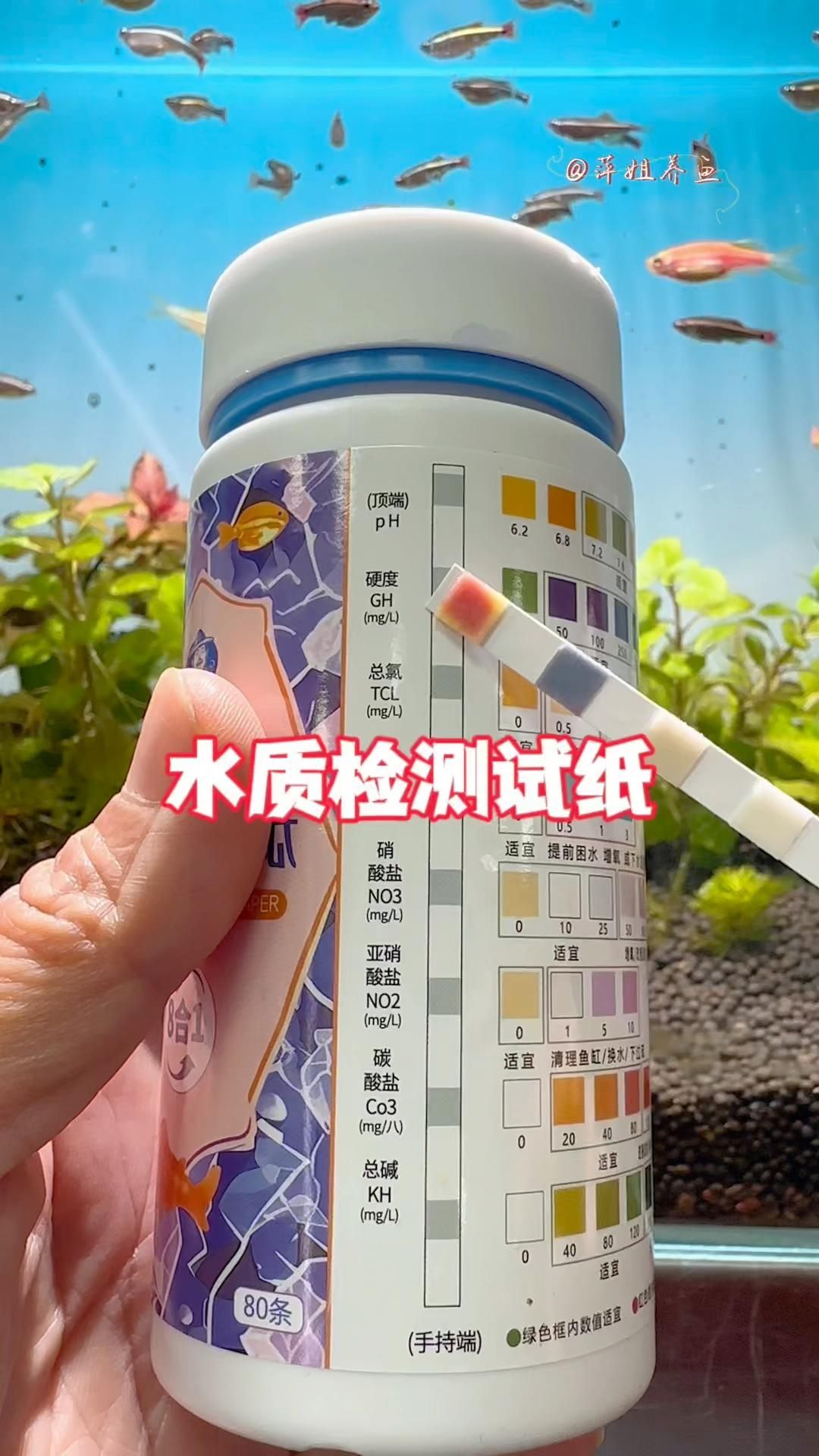 如何判斷魚缸是否需要換水，判斷魚缸是否需要換水是確保水族箱內(nèi)水質(zhì)健康的關(guān)鍵步驟