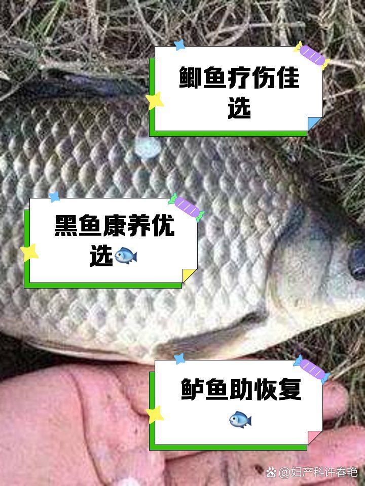 哪些因素會影響魚的自愈能力，arxiv論文助手可輔助獲取最新研究論文及其中圖表