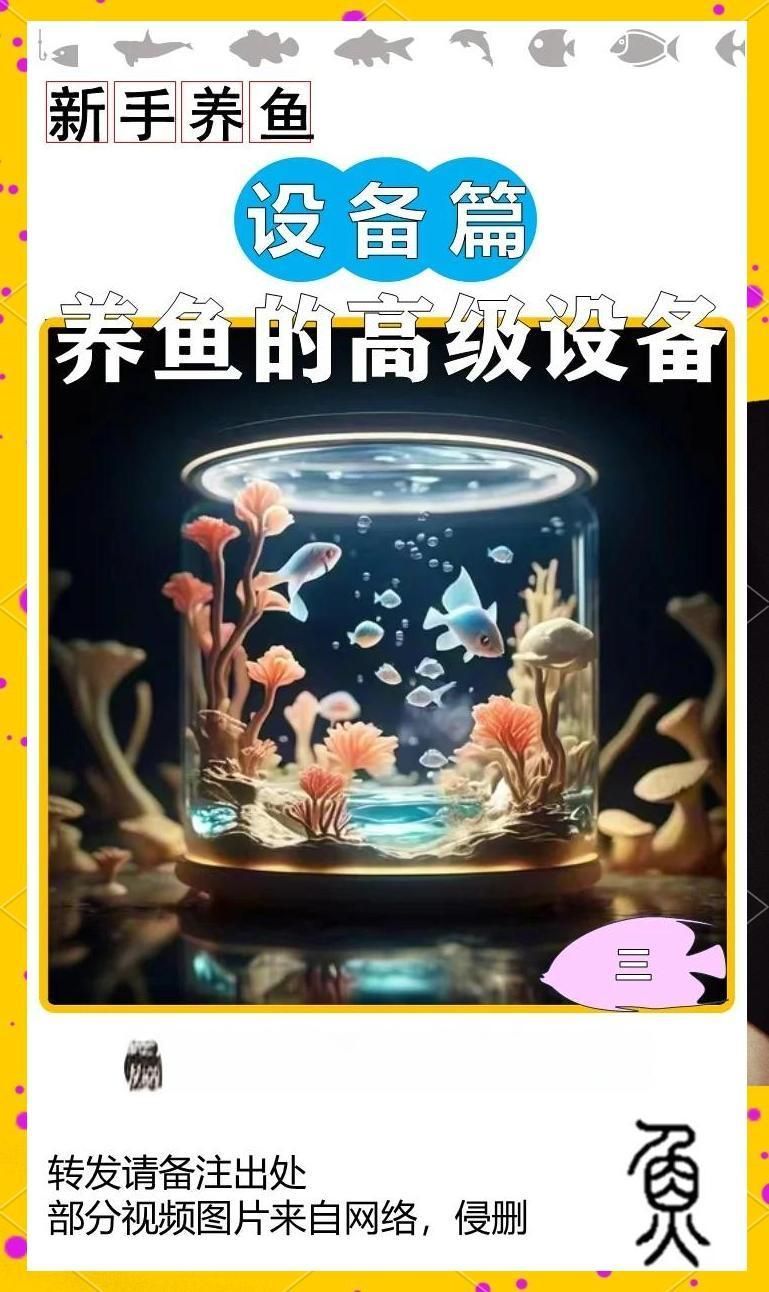 主角養龍魚有哪些系統輔助