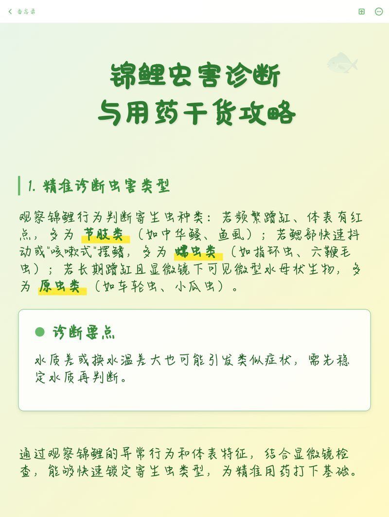 錦鯉寄生蟲感染有哪些癥狀，如何判斷錦鯉是否感染寄生蟲