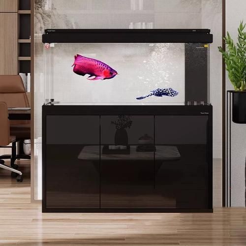 推薦幾款性價比高的魚之家生態龍魚缸，性價比高的魚之家生態龍魚缸，性價比高的生態龍魚缸
