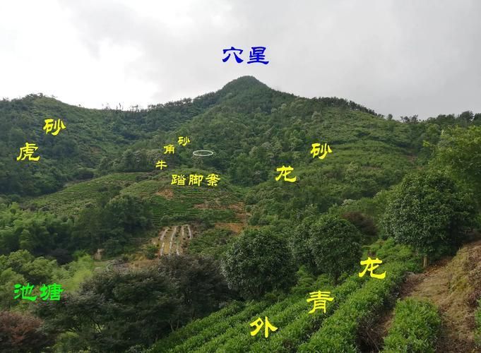 給我幾張龍形地的風水圖片，風水學中“龍形地”是指山脈或地形走勢如龍蜿蜒