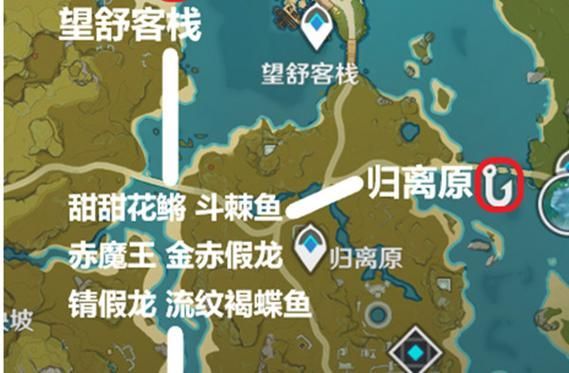 如何提高釣到金赤假龍魚的幾率，如何釣到金赤假龍魚