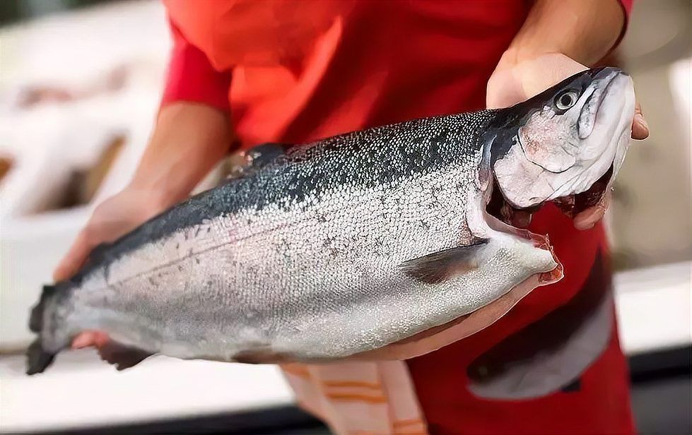 如何判斷鲅魚是否感染了寄生蟲，如何判斷鲅魚感染寄生蟲
