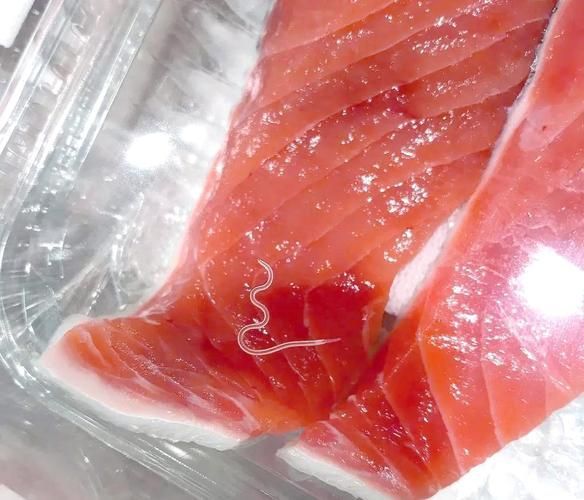 如何判斷鲅魚是否感染了寄生蟲，如何判斷鲅魚感染寄生蟲