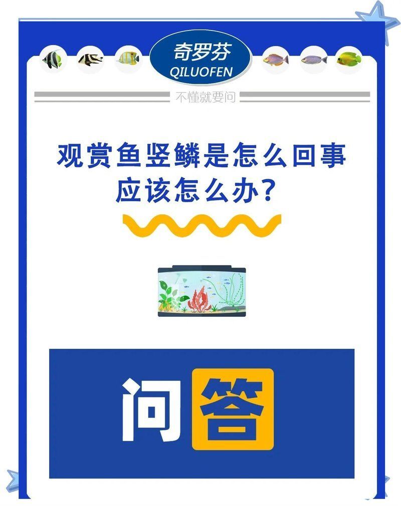 如何預防豎鱗病的爆發，如何有效地預防豎鱗病的爆發