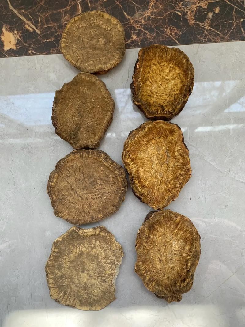 有哪些中草藥可以預防龍魚腹水，中草藥可以預防龍魚腹水調用工具arxiv論文助手