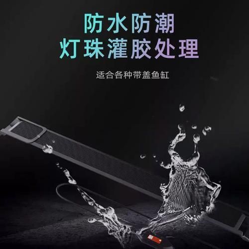 祥龍魚場推薦的魚缸價格范圍，祥龍千元到百萬不等水，但魚缸是長期投入