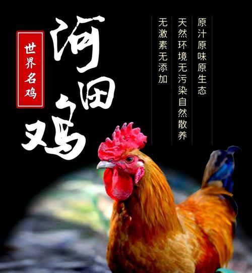 長汀龍魚是本地特產嗎？，福建龍巖市長汀縣的真正特產長汀龍魚是本地特產嗎