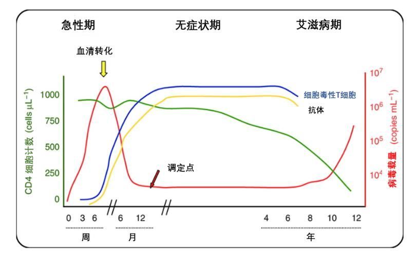 如何區(qū)分龍魚(yú)病和艾滋病？，如何區(qū)分“龍魚(yú)病”和“艾滋病” 如何區(qū)分龍魚(yú)病和艾滋病？，如何區(qū)分“龍魚(yú)病”和“艾滋病” 龍魚(yú)百科 第3張