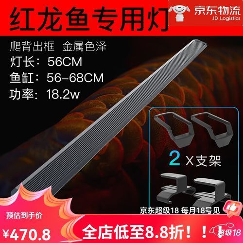 紅龍魚(yú)缸應(yīng)該用什么顏色的燈光，紅龍魚(yú)缸應(yīng)該用什么顏色的燈光，紅龍魚(yú)缸的燈光應(yīng)該用什么顏色的