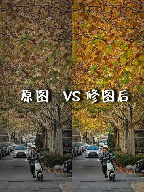 能否提供更詳細的對比圖 能否提供更詳細的對比圖 龍魚百科 第1張