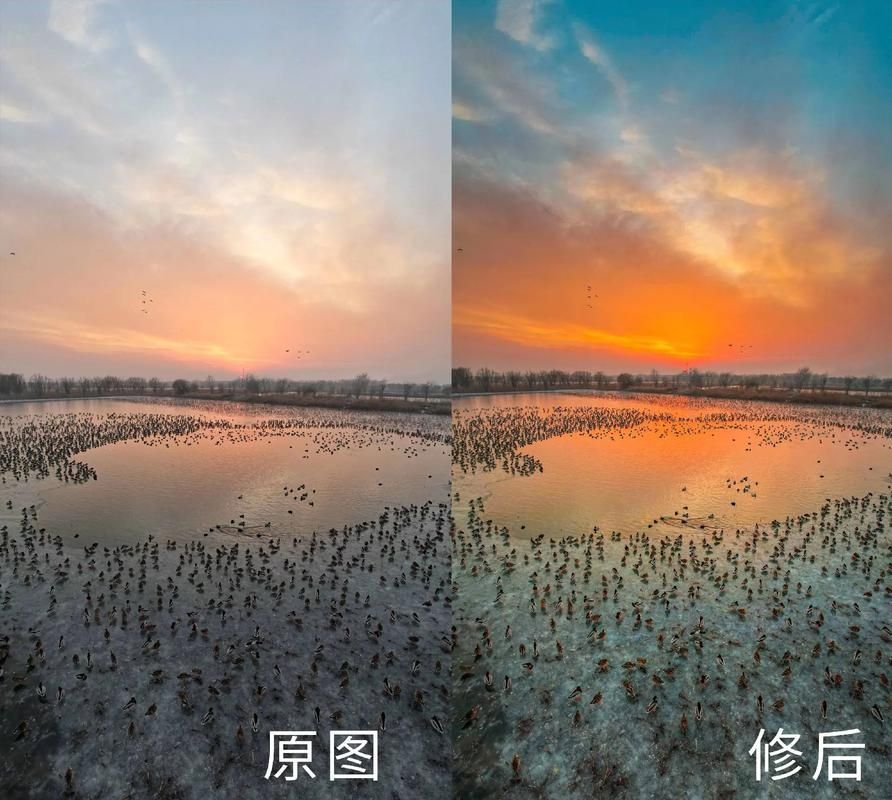 能否提供更詳細的對比圖 能否提供更詳細的對比圖 龍魚百科 第2張