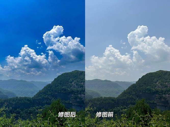能否提供更詳細的對比圖 能否提供更詳細的對比圖 龍魚百科 第23張