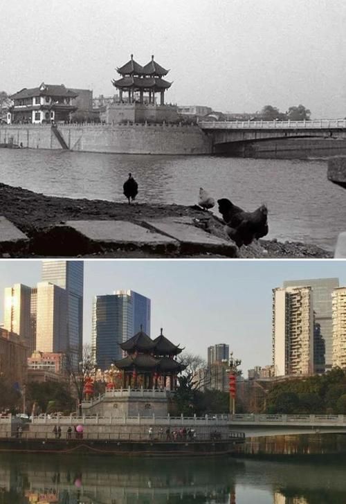 能否提供更詳細的對比圖 能否提供更詳細的對比圖 龍魚百科 第18張