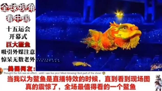 如何在YouTube上找到龍魚視頻,如何在youtube上找到龍魚視頻 龍魚百科 第1張 如何在YouTube上找到龍魚視頻,如何在youtube上找到龍魚視頻 如何在YouTube上找到龍魚視頻,如何在youtube上找到龍魚視頻 龍魚百科 第1張