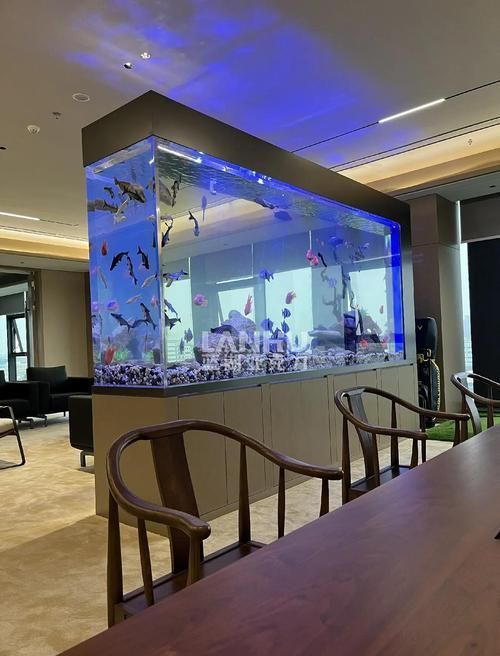 祥龍魚場有哪些高檔龍魚缸款式？，祥龍魚場有哪些高檔魚缸款式？