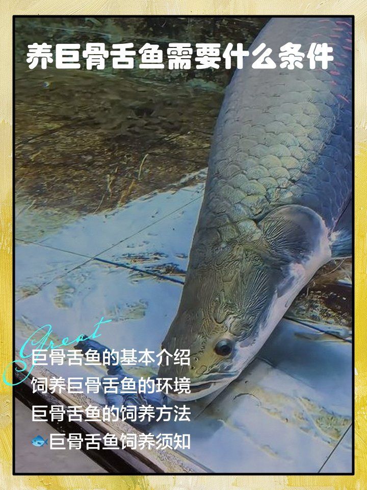 如何延長巨骨舌魚的壽命？，arxiv論文助手arxiv論文助手（arapaimagigas）