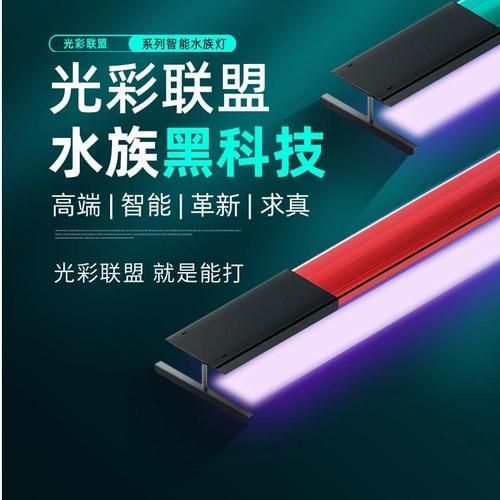 龍魚燈光色溫如何選擇，龍魚燈光色溫的選擇