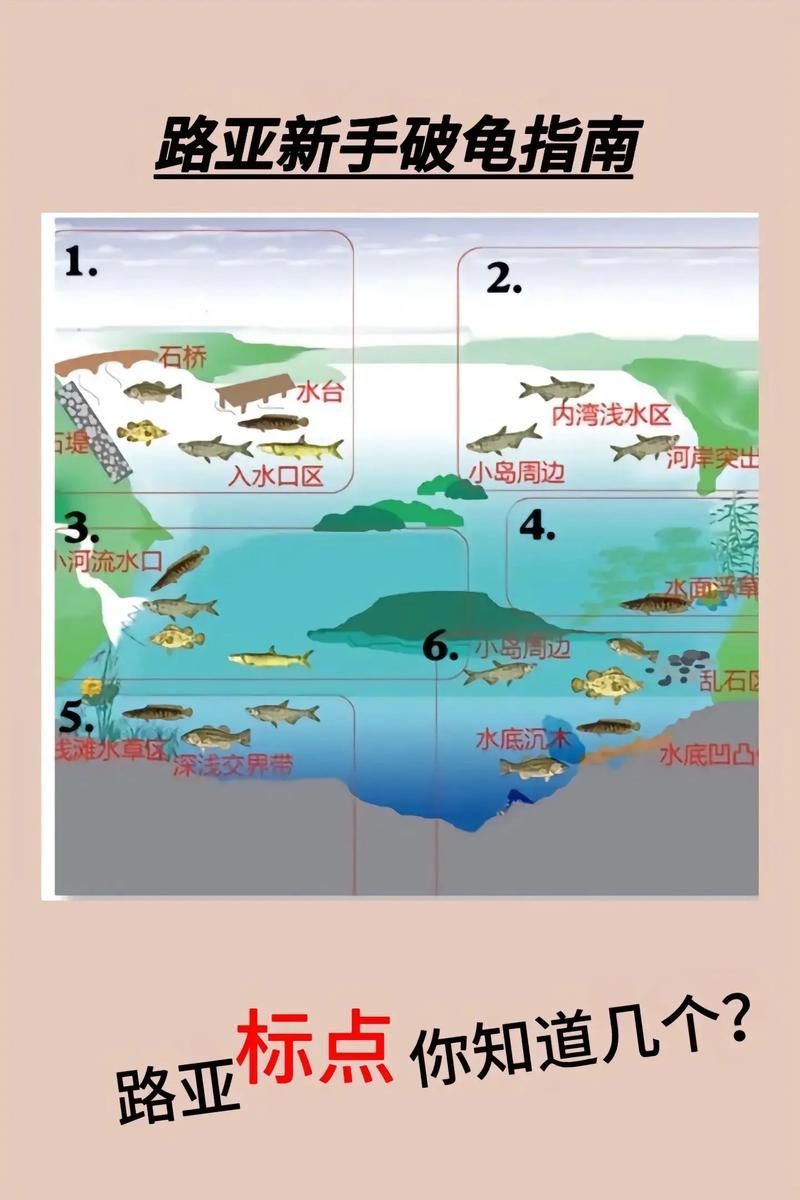 杜集龍魚(yú)主要分布在哪些地區(qū)？，杜集龍魚(yú)（scleropagesformosus）