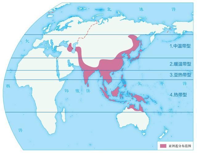 杜集龍魚(yú)主要分布在哪些地區(qū)？，杜集龍魚(yú)（scleropagesformosus）