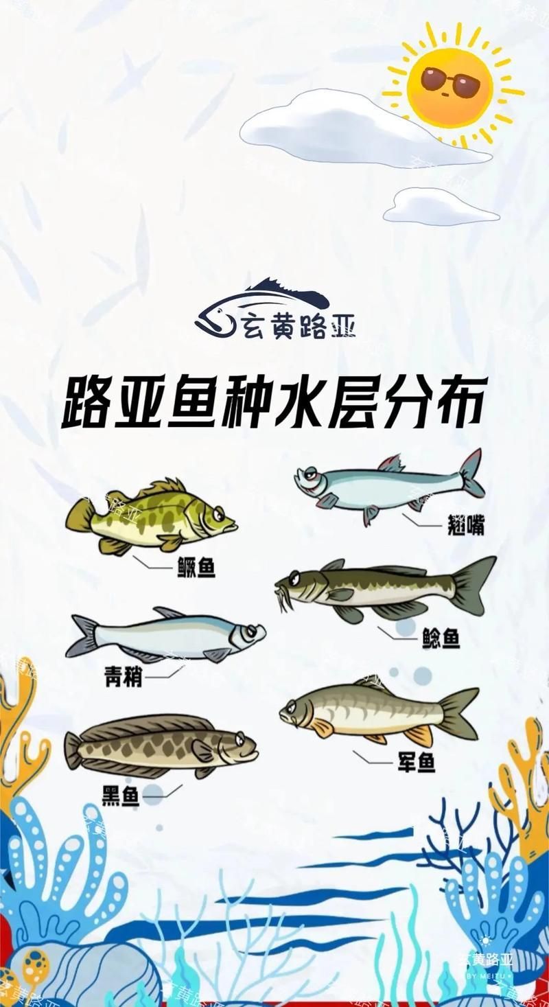杜集龍魚(yú)主要分布在哪些地區(qū)？，杜集龍魚(yú)（scleropagesformosus）