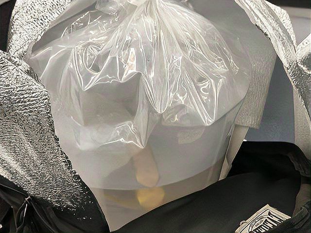 番禺龍魚被禁的原因是什么？，番禺龍魚被禁的原因