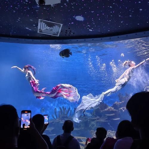<strong><mark>蚌山</mark></strong>龍魚水族館的口碑如何，<strong><mark>蚌山</mark></strong>龍魚水族館口碑如何