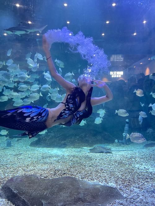 蚌山龍魚水族館的口碑如何，蚌山龍魚水族館口碑如何