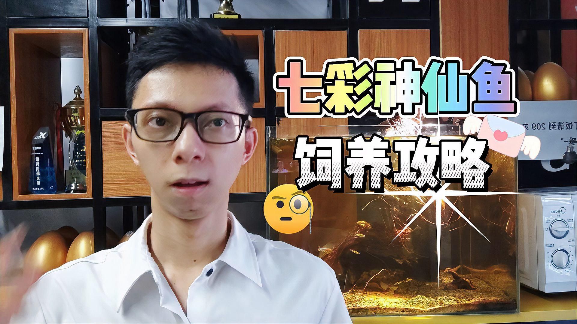七彩神仙魚多久喂一次合適？，七彩神仙魚分階段喂食計(jì)劃表