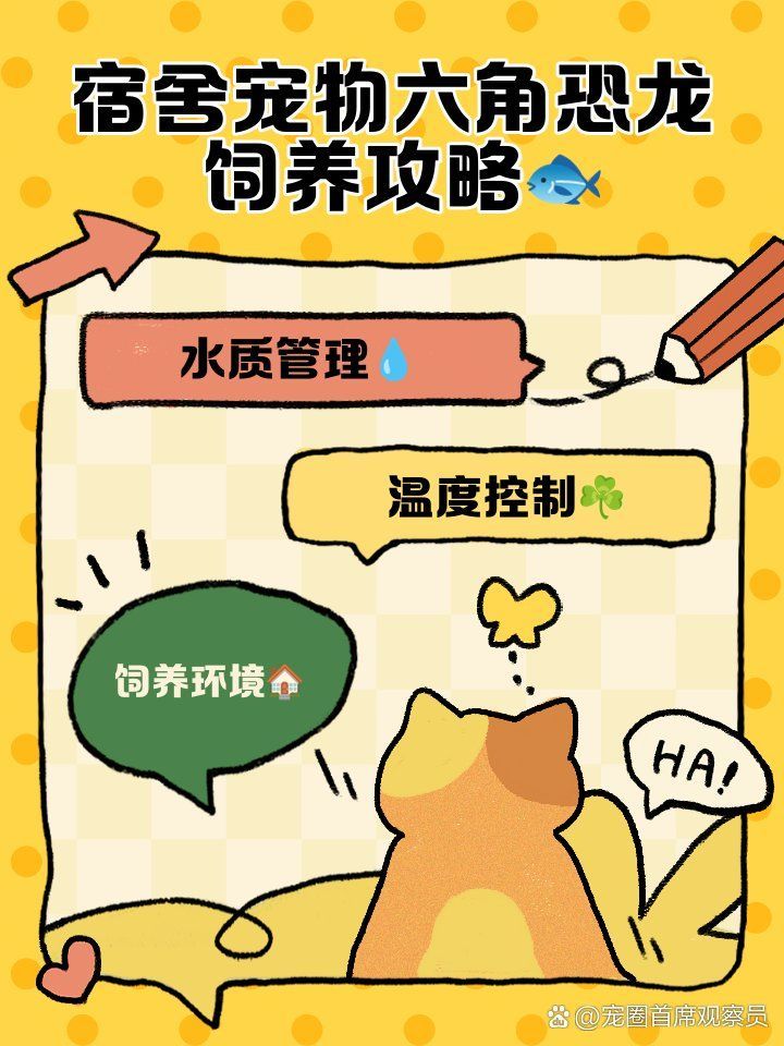 六角龍適合什么水質(zhì)，六角龍適合什么樣的水質(zhì) 六角龍適合什么水質(zhì)，六角龍適合什么樣的水質(zhì) 龍魚(yú)百科 第3張