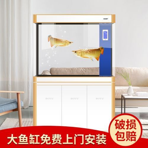 有哪些品牌龍魚魚缸性價比高？ 有哪些品牌龍魚魚缸性價比高？ 龍魚百科 第12張