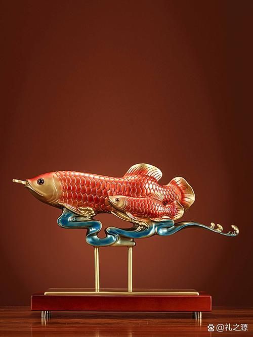 給我更多招財龍魚的高清圖片，招財龍魚的最佳飼養方法,如何挑選一條好的招財龍魚 給我更多招財龍魚的高清圖片，招財龍魚的最佳飼養方法,如何挑選一條好的招財龍魚 龍魚百科 第16張