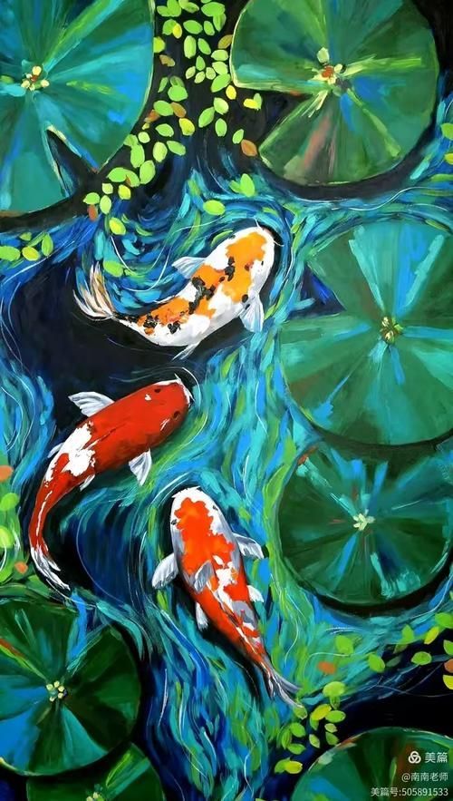 如何判斷觀賞魚品相，如何判斷觀賞魚的健康狀況，如何提升觀賞魚的色彩鮮艷度