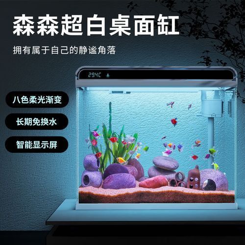 有哪些品牌魚缸值得信賴？