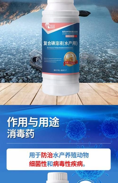 如何預防魚患腹水，如何預防腹水病