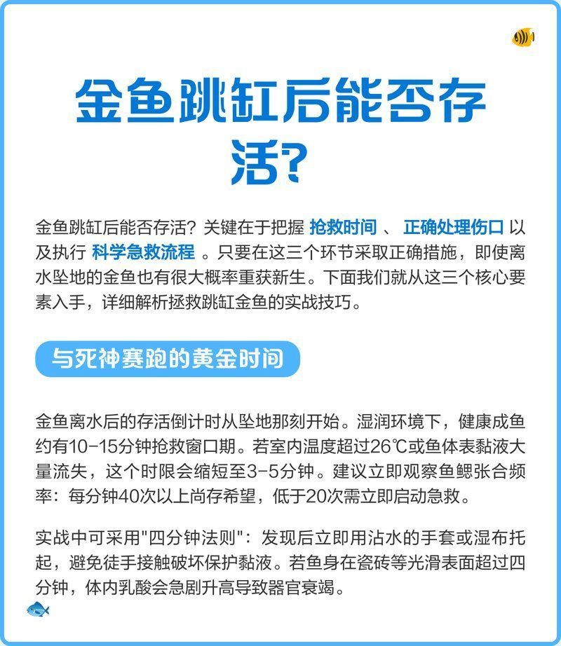 小青龍魚的飼養方法是什么？，小青龍魚的飼養方法
