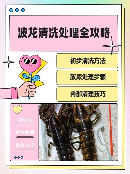 如何正確使用龍魚特效抗菌藥？，如何正確使用龍魚特效抗菌藥