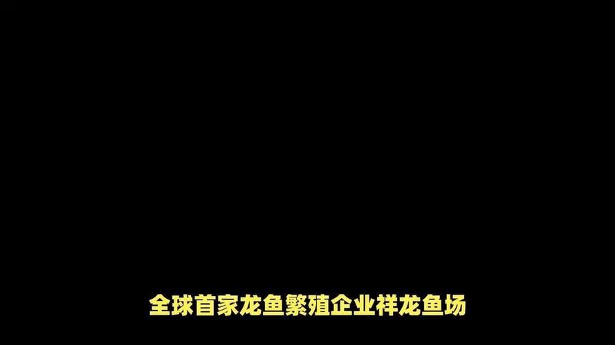 如何觀看祥龍魚場(chǎng)的特色視頻？，如何觀看祥龍魚場(chǎng)特色視頻