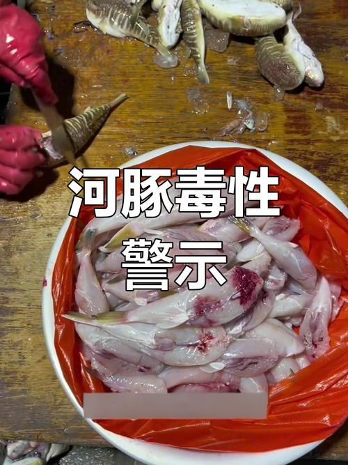 如何預防魚炸傷的發生，如何寫一篇魚炸傷預防指南