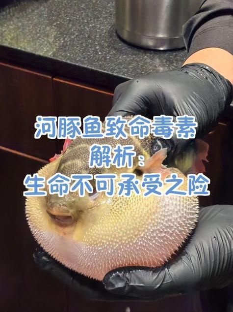 如何預防魚炸傷的發生，如何寫一篇魚炸傷預防指南