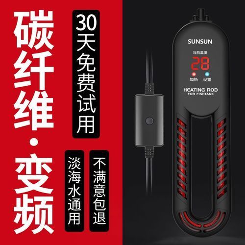 紅金龍魚需要哪些設備，紅金龍魚飼養所需要哪些設備 紅金龍魚需要哪些設備，紅金龍魚飼養所需要哪些設備 龍魚百科 第1張