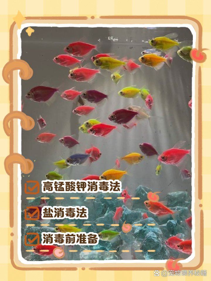 有哪些魚缸水消毒方法推薦，有哪些魚缸水消毒方法推薦,魚缸消毒的核心目標是殺滅病原體