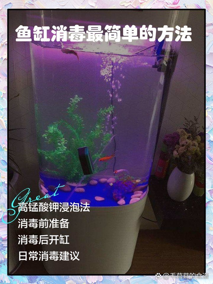 有哪些魚缸水消毒方法推薦，有哪些魚缸水消毒方法推薦,魚缸消毒的核心目標是殺滅病原體