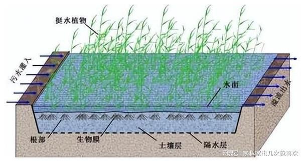 有哪些方法可以改善水質，改善水質的方法