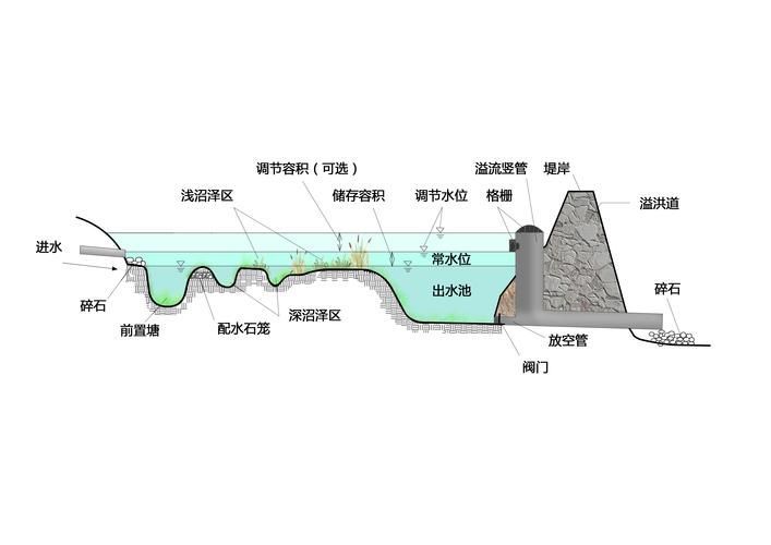 有哪些方法可以改善水質，改善水質的方法