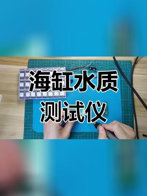 如何預(yù)防小型魚(yú)疾病？