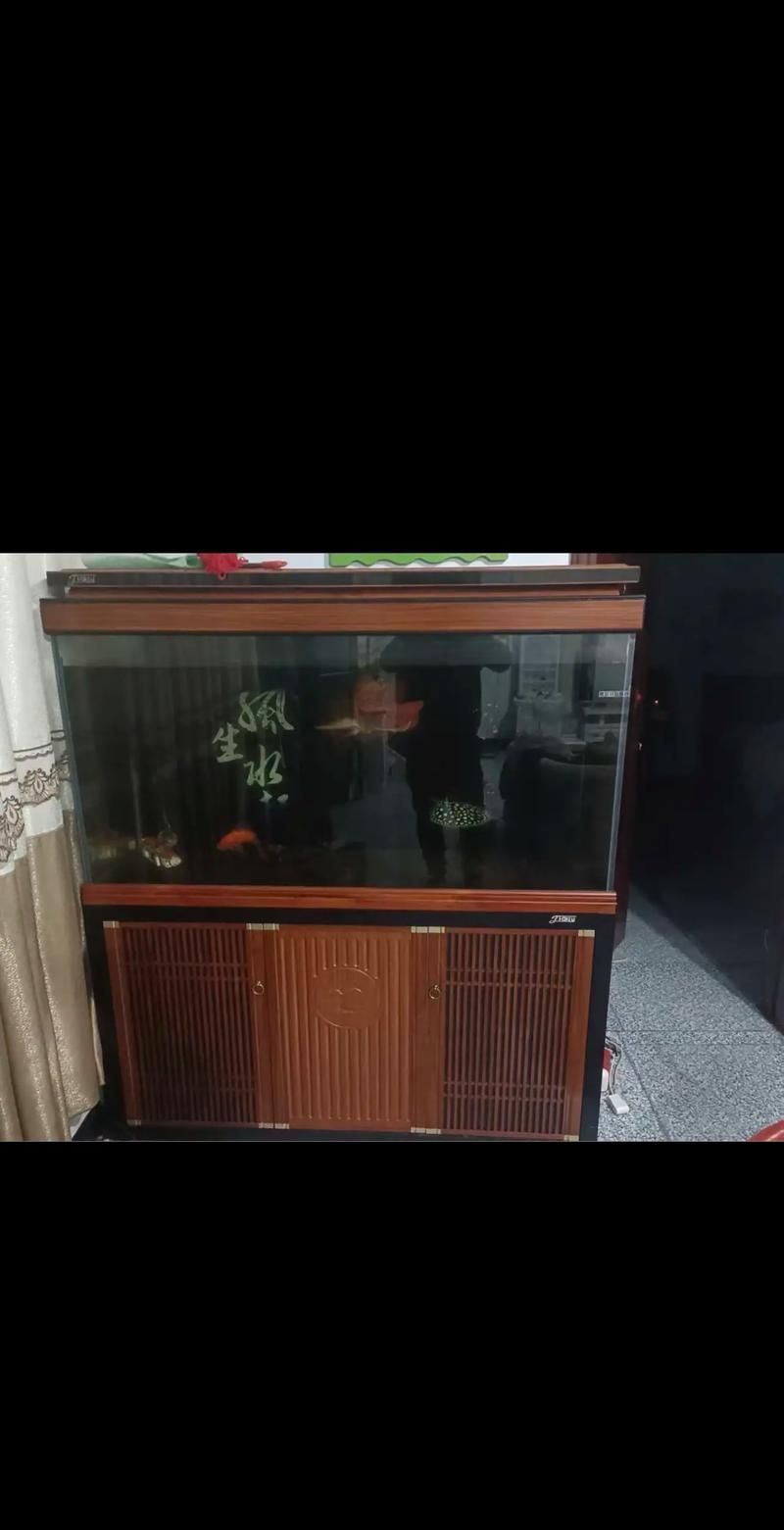 龍魚缸排行榜前十名中哪個品牌最好？，“龍魚缸”品牌排行榜前十名哪個品牌的龍魚缸最好