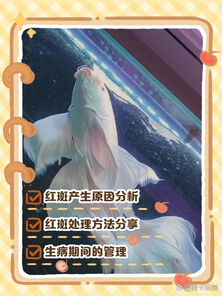 如何判斷魚病紅斑類型，如何判斷魚病紅斑類型，如何治療魚病紅斑